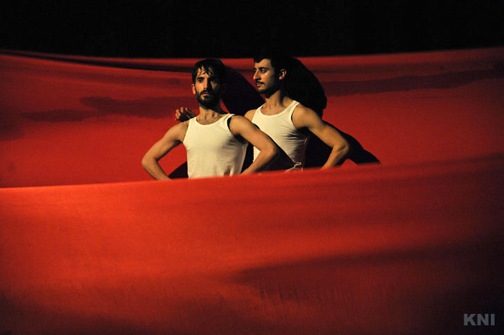 120329 bloom kozel a veg-19