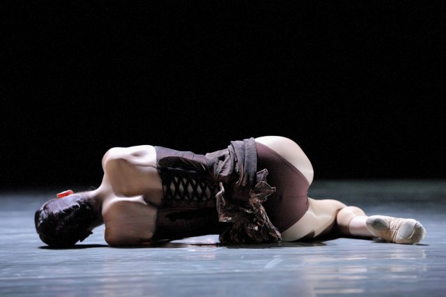 phoca thumb_l__S7U6437