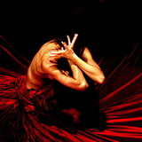 maday timea kinga lead