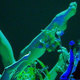 leadDSC 3088 c loizenbauer 1