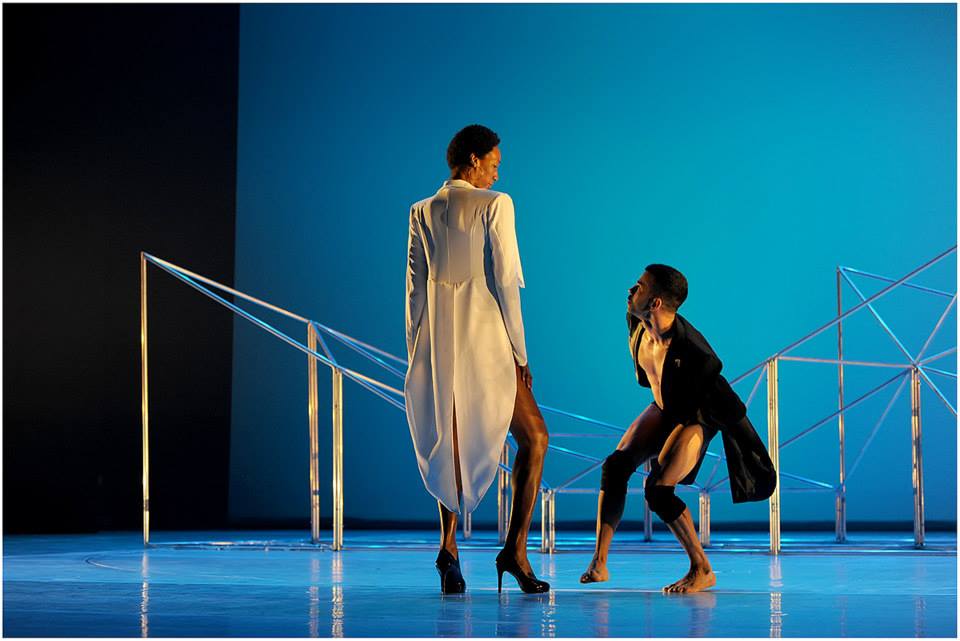 bird mahogany nelson