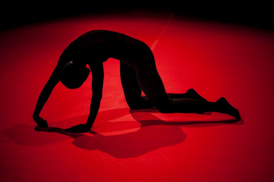 sovirag4 BirtalanZsolt