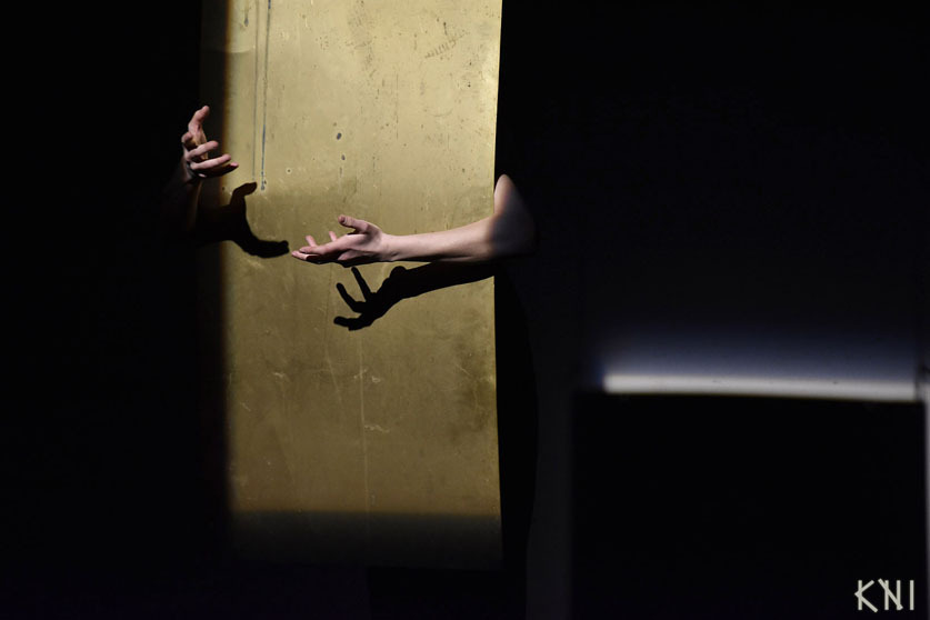 egy madar amely nez 2