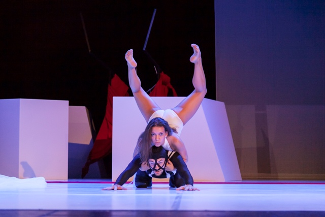 Labirintus Torma Sándor