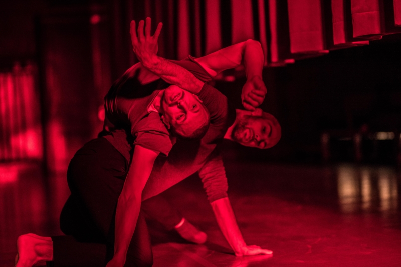 raphael 17 bart grietens