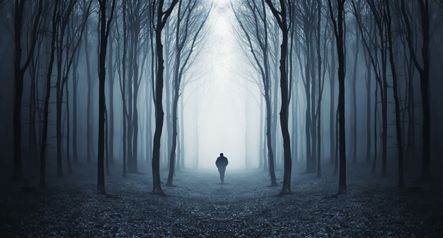 gap lira forgatagban web