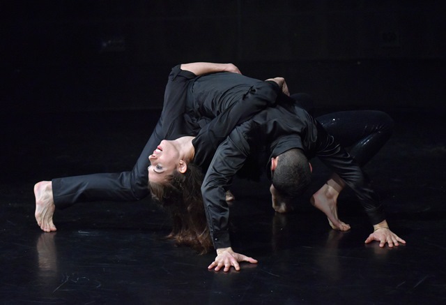 817 5756 eger Gal Gabor web