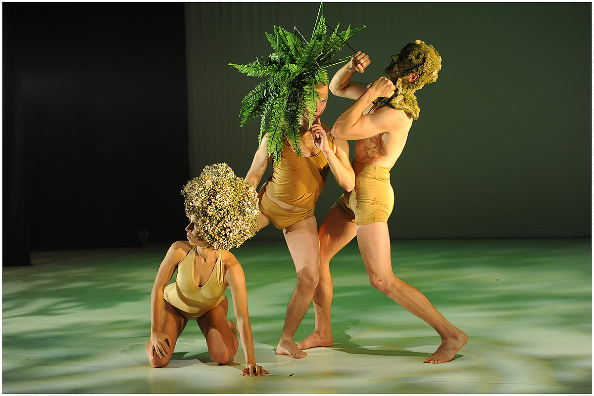 Duda E Wonderland JGy 360 