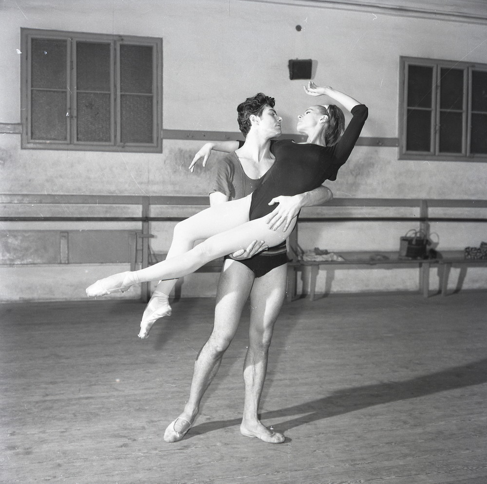 4. 1959 Kotnyek