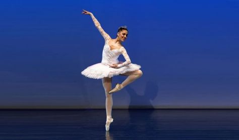 a jovo csillagai a magyar tancmuveszeti egyetem galaestje 474 279 129858