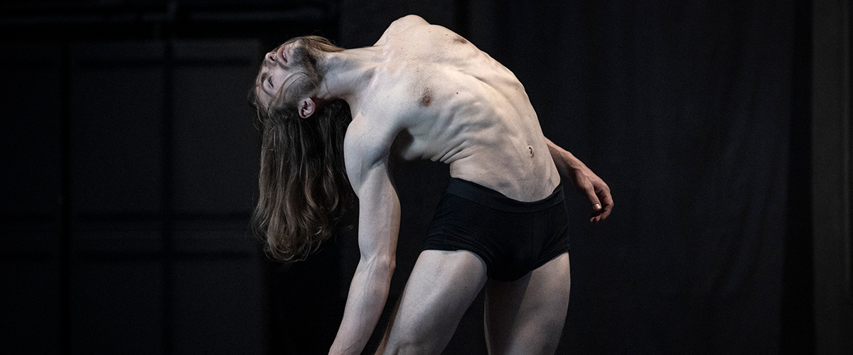 fig ht frenak pal tarsulat original 170470