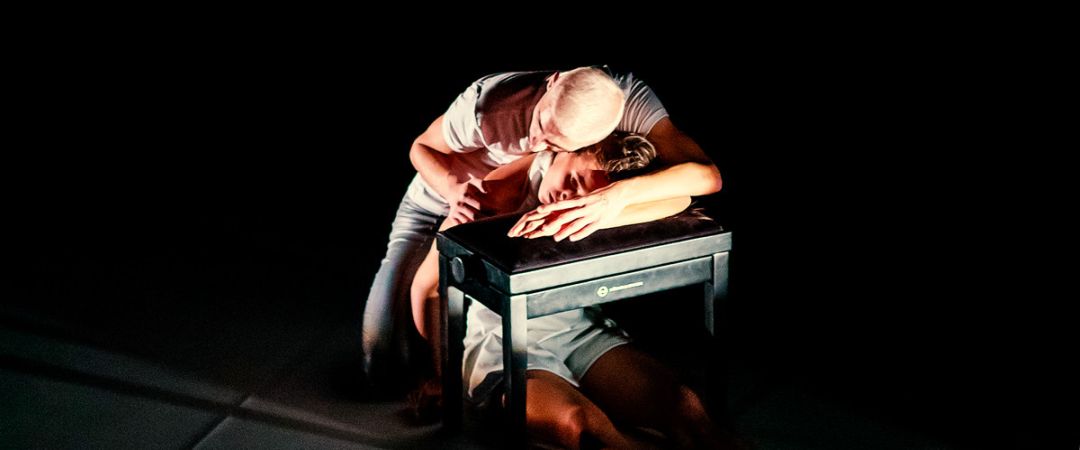 silver swan kulcsar noemi tellabor original 163815