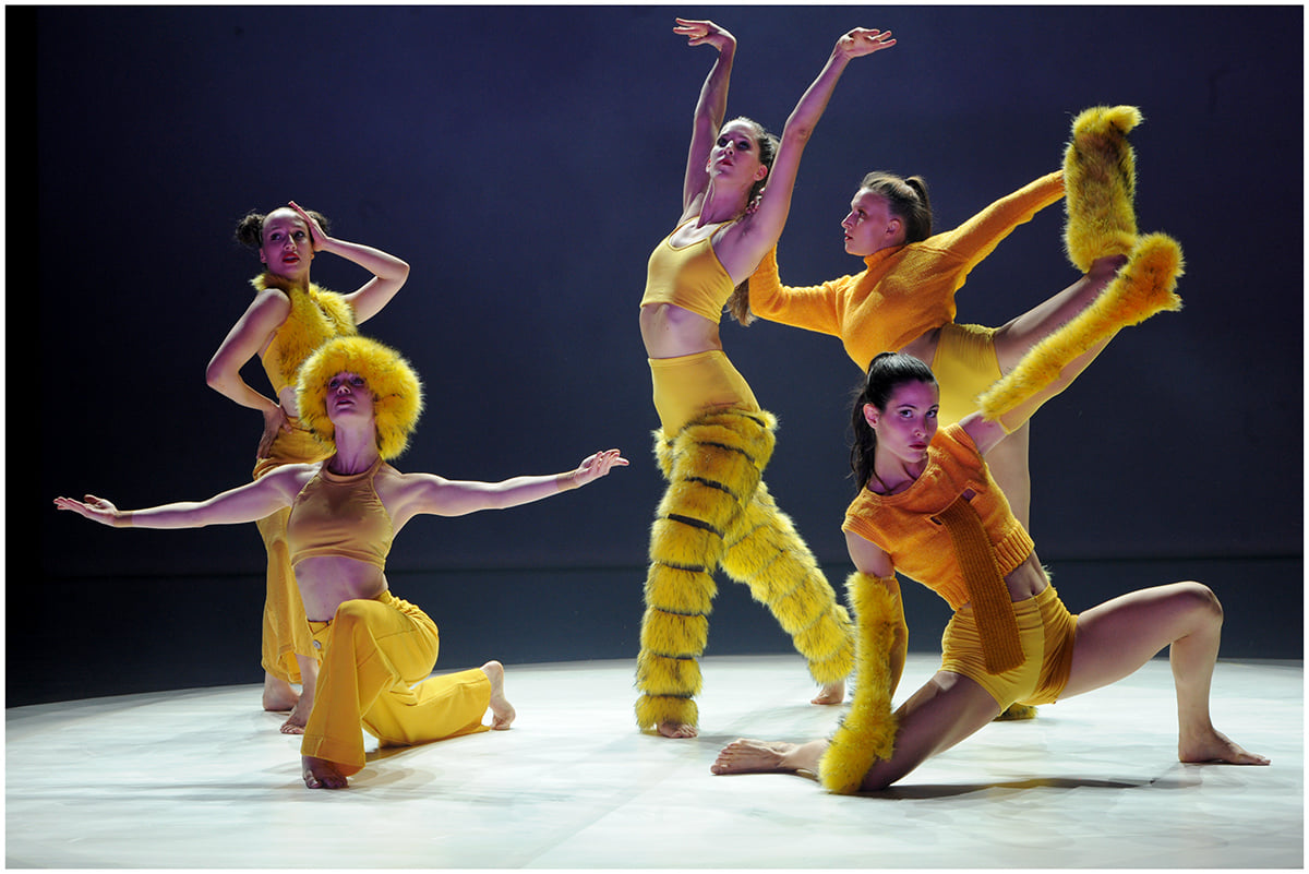 240675956 10223984340230628 5621677526115622366 n