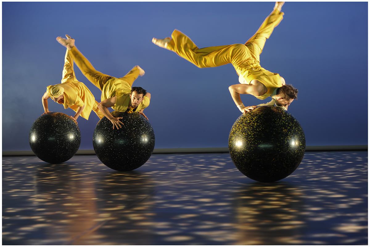 241120866 10223968944725750 5865303554208830622 n