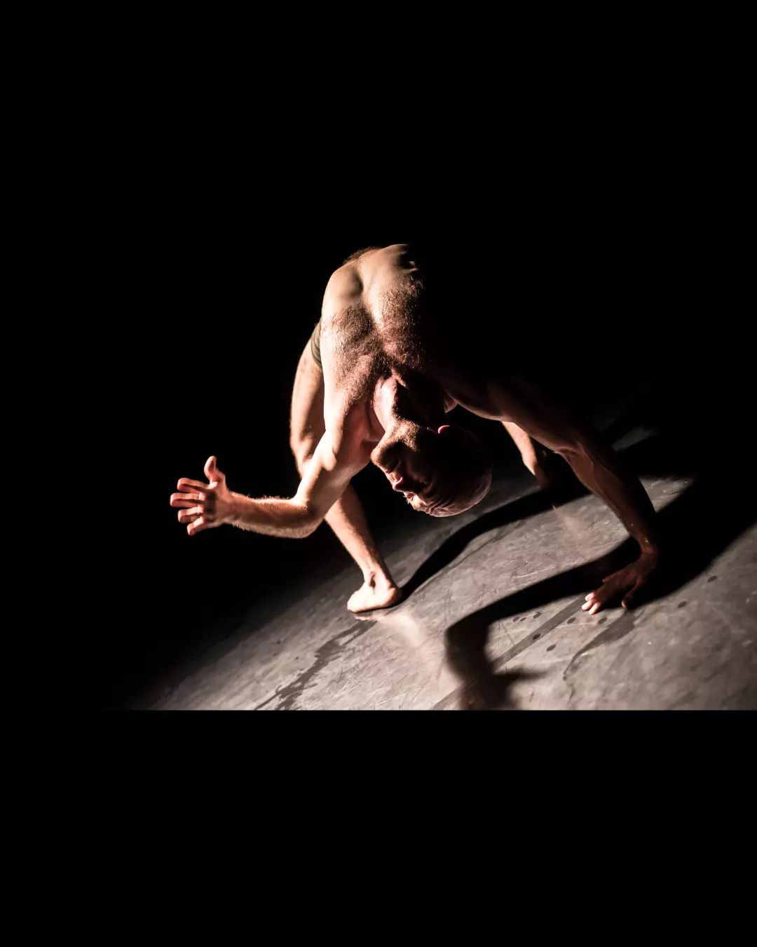 279235118 3126908004217775 4411298538370139365 n