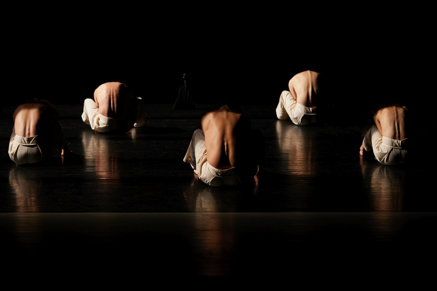 erintes paradoxon artus goda gabor tarsulata original 181813