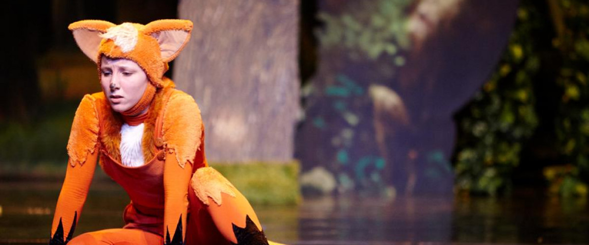 vuk inversedance fodor zoltan tarsulat original 206591