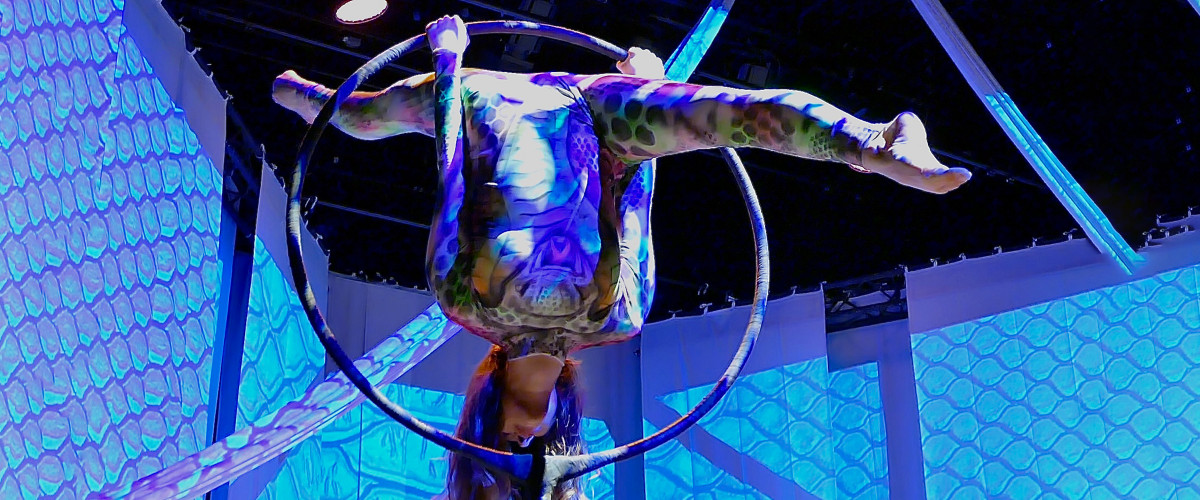 varazsvilag feledi janos feledi project original 203677